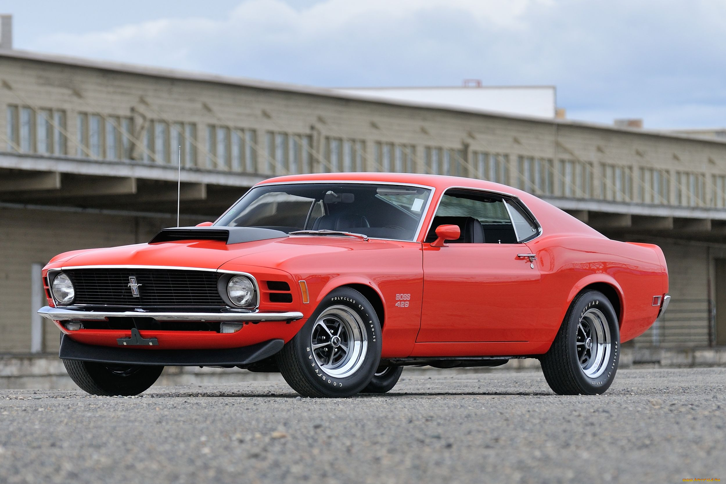 , mustang